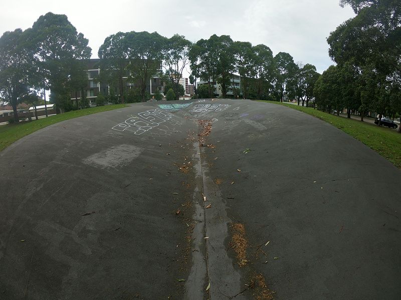 Lidcombe Snake Run